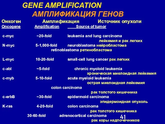 GENE AMPLIFICATION АМПЛИФИКАЦИЯ ГЕНОВ Онкоген Амплификация Источник опухоли Oncogene Amplification Source of