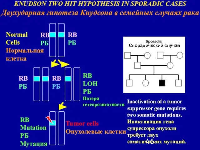 RB РБ RB РБ RB LOH РБ Потеря гетеорозиготности RB Mutation РБ