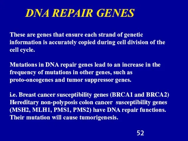 These are genes that ensure each strand of genetic information is accurately