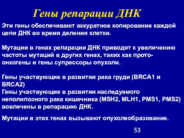 Эти гены обеспечивают аккуратное копирование каждой цепи ДНК во время деления клетки.