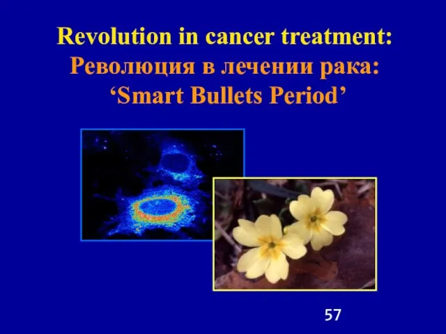 Revolution in cancer treatment: Революция в лечении рака: ‘Smart Bullets Period’