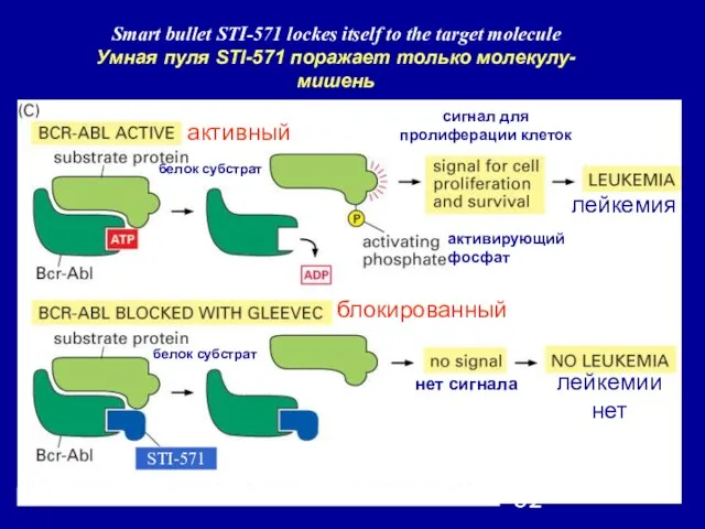 Smart bullet STI-571 lockes itself to the target molecule Умная пуля STI-571 поражает только молекулу-мишень