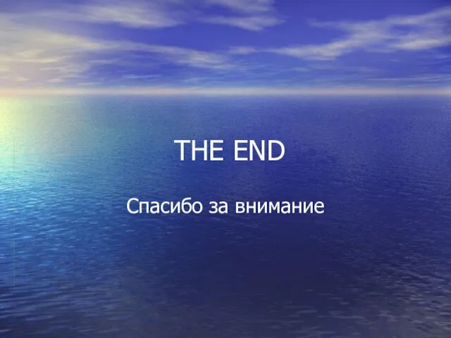 THE END Спасибо за внимание