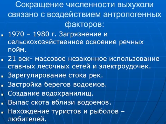 Сокращение численности выхухоли связано с воздействием антропогенных факторов: 1970 – 1980 г.