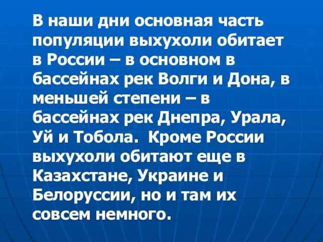 В наши дни основная часть популяции выхухоли обитает в России – в