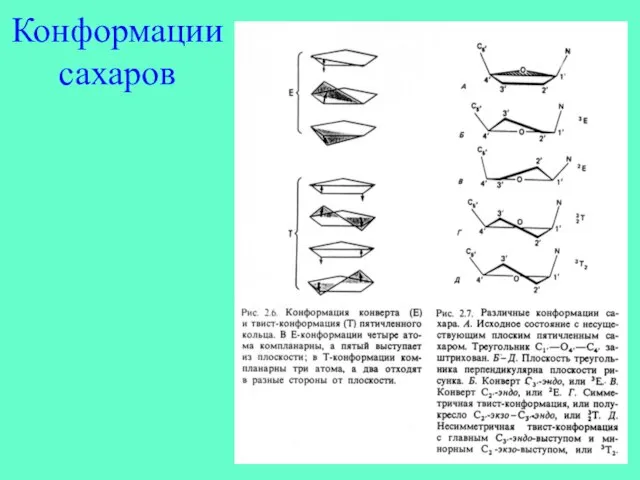 Конформации сахаров