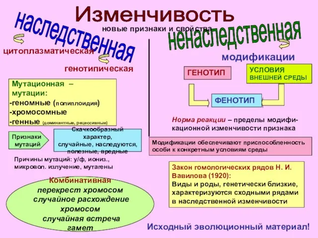 Изменчивость наследственная ненаследственная новые признаки и свойства модификации Мутационная – мутации: геномные