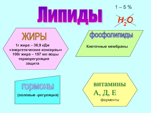 Липиды Н2О 1 – 5 % ЖИРЫ фосфолипиды витамины А, Д, Е