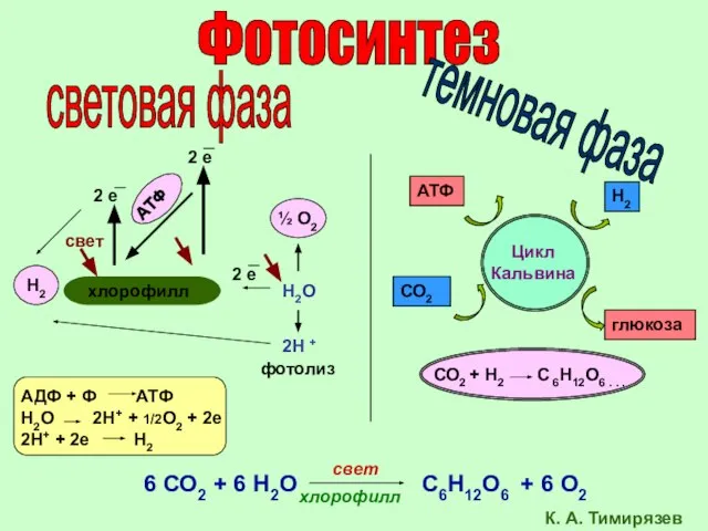Фотосинтез световая фаза темновая фаза хлорофилл 2 е 2 е свет Н2