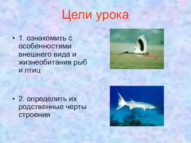 Цели урока 1. ознакомить с особенностями внешнего вида и жизнеобитания рыб и