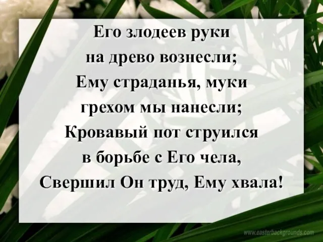 Его злодеев руки на древо вознесли; Ему страданья, муки грехом мы нанесли;