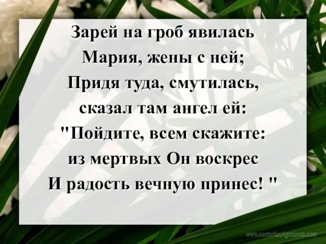 Зарей на гроб явилась Мария, жены с ней; Придя туда, смутилась, сказал