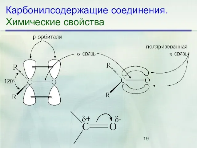 Карбонилсодержащие соединения. Химические свойства