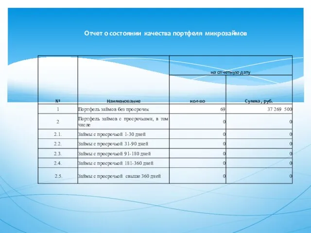 Отчет о состоянии качества портфеля микрозаймов