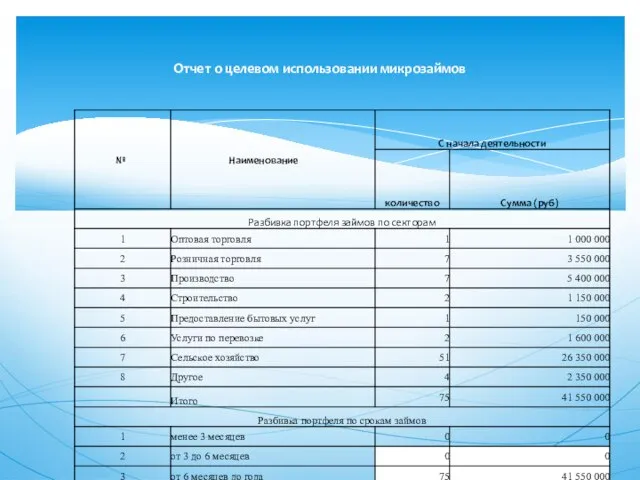 Отчет о целевом использовании микрозаймов