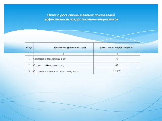 Отчет о достижении целевых показателей эффективности предоставления микрозаймов