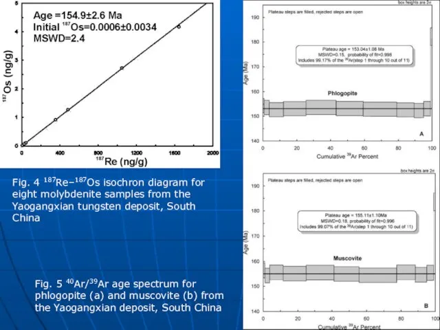 Fig. 4 187Re–187Os isochron diagram for eight molybdenite samples from the Yaogangxian