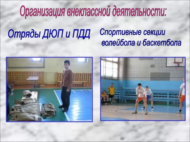 Организация внеклассной деятельности: Отряды ДЮП и ПДД Спортивные секции волейбола и баскетбола