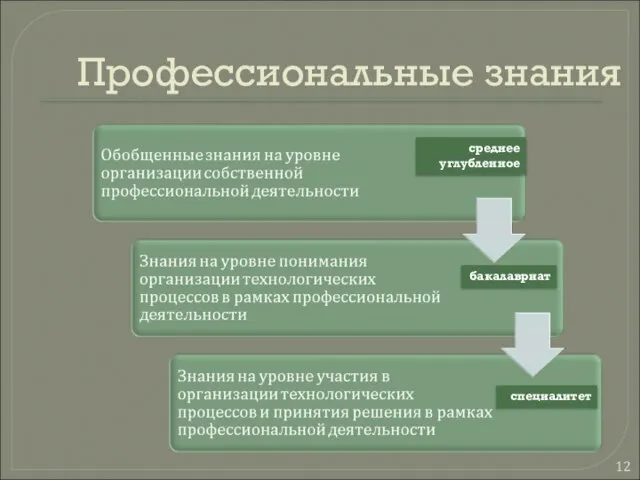 Профессиональные знания среднее углубленное бакалавриат специалитет