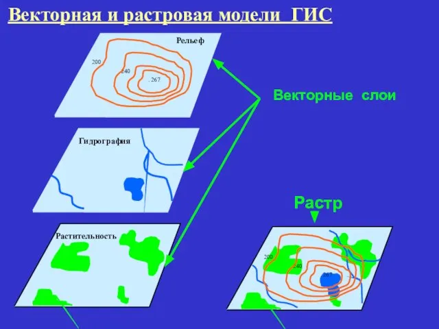 Векторная и растровая модели ГИС Рельеф Гидрография Растительность Растр Векторные слои