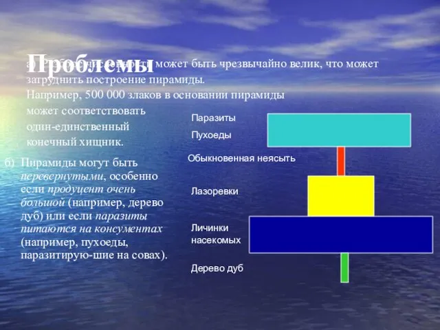 Проблемы б) Пирамиды могут быть перевернутыми, особенно если продуцент очень большой (например,