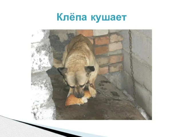 Клёпа кушает