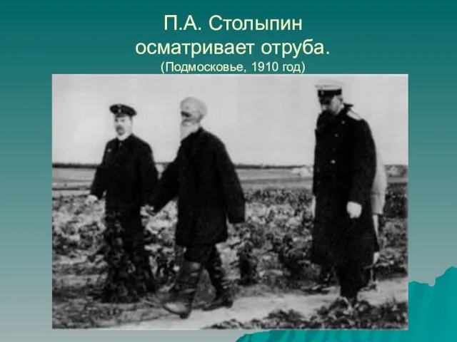 П.А. Столыпин осматривает отруба. (Подмосковье, 1910 год)