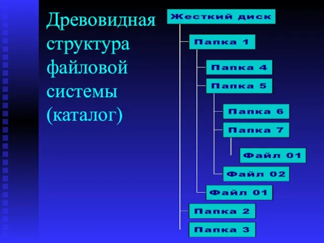 Древовидная структура файловой системы (каталог)