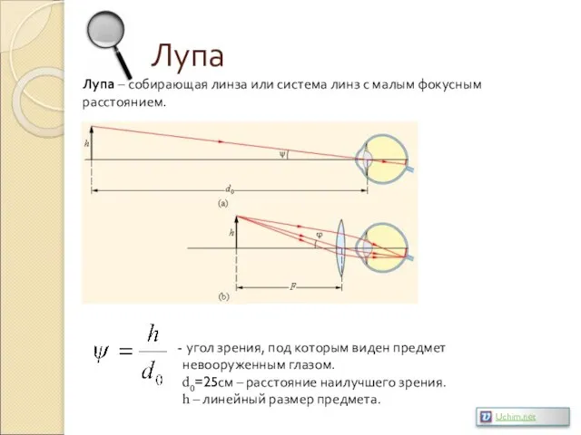 Лупа Лупа – собирающая линза или система линз с малым фокусным расстоянием.