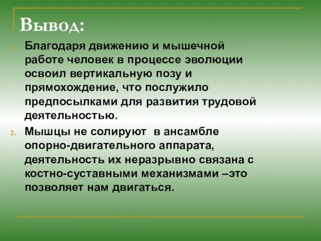 Вывод: Благодаря движению и мышечной работе человек в процессе эволюции освоил вертикальную