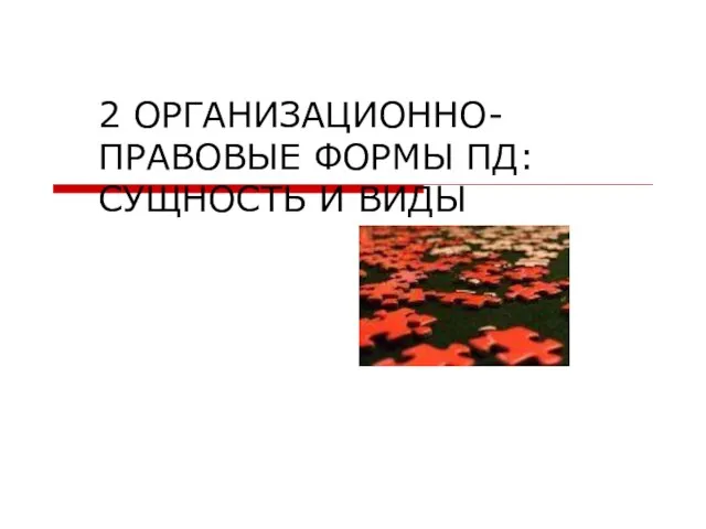 2 ОРГАНИЗАЦИОННО-ПРАВОВЫЕ ФОРМЫ ПД: СУЩНОСТЬ И ВИДЫ