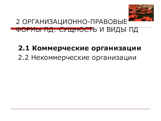 2 ОРГАНИЗАЦИОННО-ПРАВОВЫЕ ФОРМЫ ПД: СУЩНОСТЬ И ВИДЫ ПД 2.1 Коммерческие организации 2.2 Некоммерческие организации