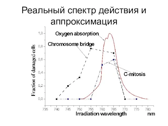 Реальный спектр действия и аппроксимация