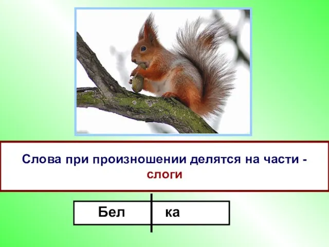 п Произнесите слово «белка». Сколько частей в слове? Назовите первую и вторую