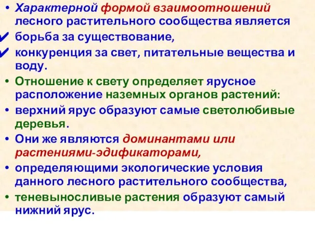 Характерной формой взаимоотношений лесного растительного сообщества является борьба за существование, конкуренция за