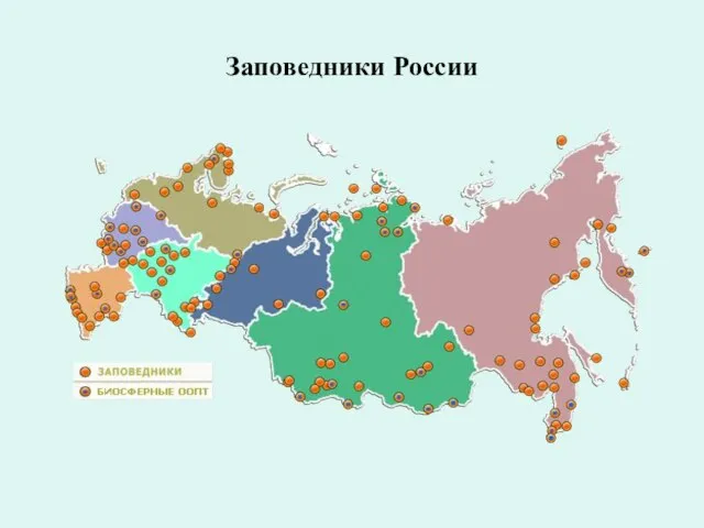 Заповедники России