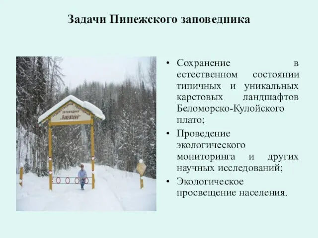 Задачи Пинежского заповедника Сохранение в естественном состоянии типичных и уникальных карстовых ландшафтов