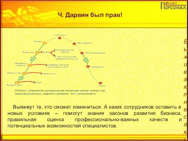 Выживают не самые умные и самые сильные, а те, кто может приспосабливаться