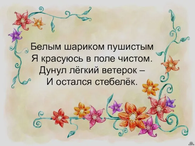 Белым шариком пушистым Я красуюсь в поле чистом. Дунул лёгкий ветерок – И остался стебелёк.