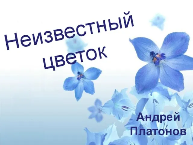Неизвестный цветок Андрей Платонов