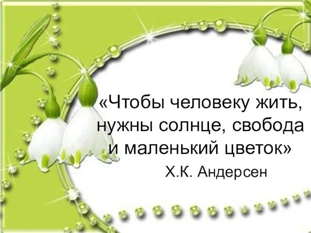 «Чтобы человеку жить, нужны солнце, свобода и маленький цветок» Х.К. Андерсен