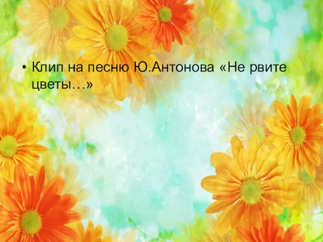 кКлип на песню Ю.Антонова Клип на песню Ю.Антонова «Не рвите цветы…»