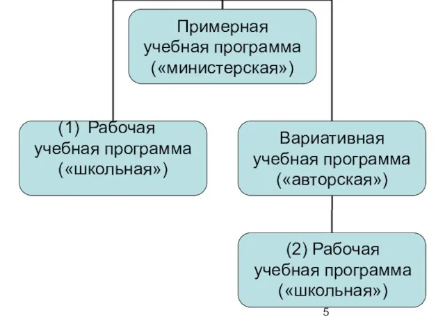 (2) Рабочая учебная программа («школьная»)