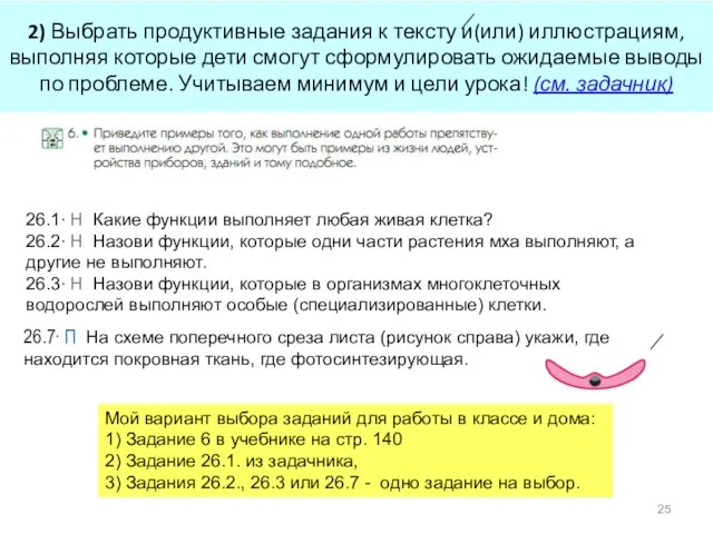 2) Выбрать продуктивные задания к тексту и(или) иллюстрациям, выполняя которые дети смогут