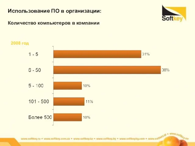 Использование ПО в организации: Количество компьютеров в компании 2008 год