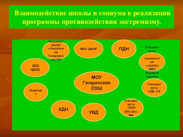 Взаимодействие школы и социума в реализации программы противодействия экстремизму. МОУ Гагаринская СОШ