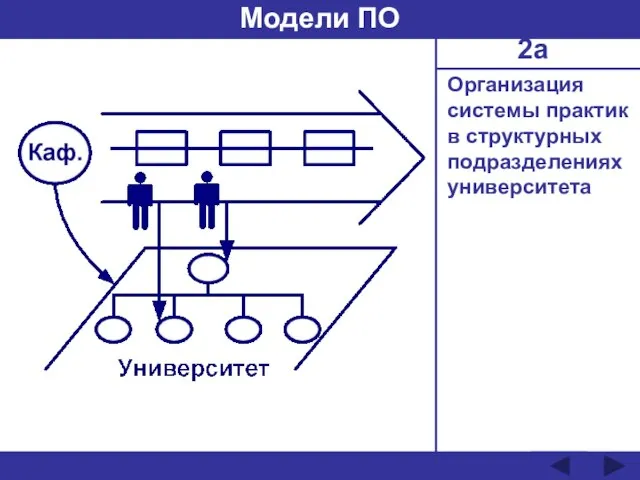 Организация системы практик в структурных подразделениях университета Модели ПО 2а