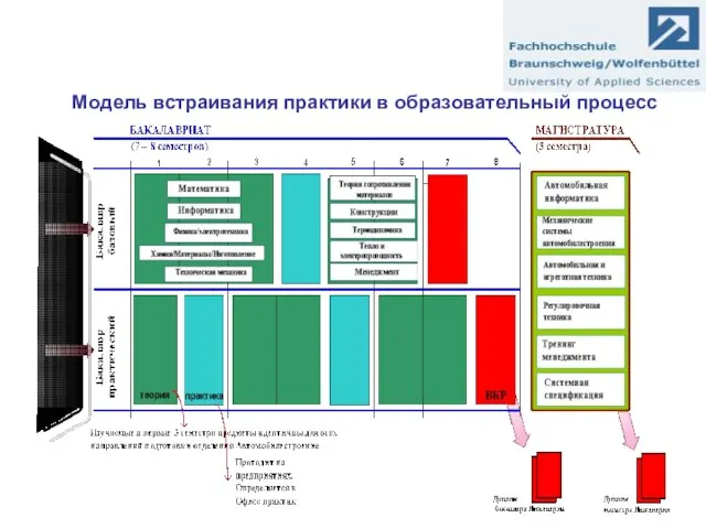 Модель встраивания практики в образовательный процесс