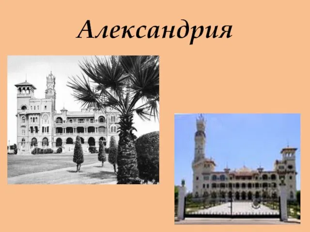 Александрия