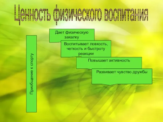 Ценность физического воспитания Приобщение к спорту Дает физическую закалку Воспитывает ловкость, четкость